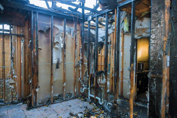 Professional Odor Removal technician working in Lakemoor, IL
